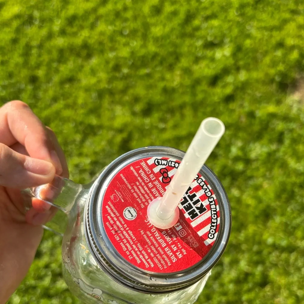 Hello Kitty Pink Floral Glass Mason Jar with Straw